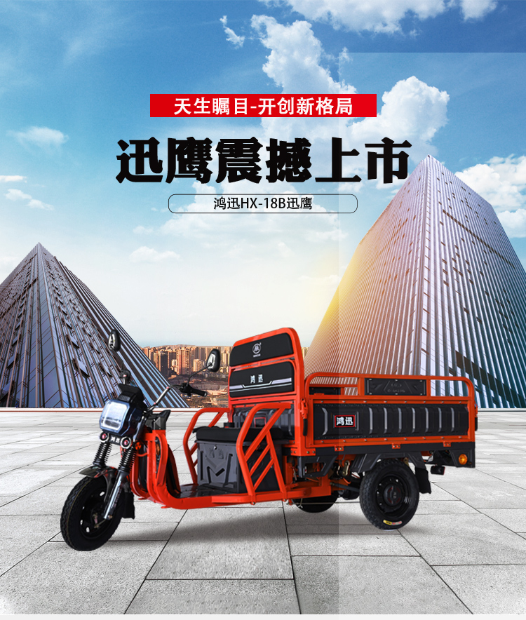 迅鹰_001.jpg